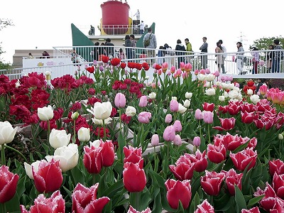 d0031853_20131324.jpg