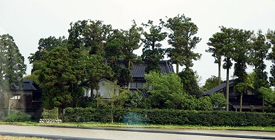 d0031853_201413.jpg