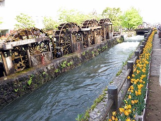 d0031853_20184745.jpg