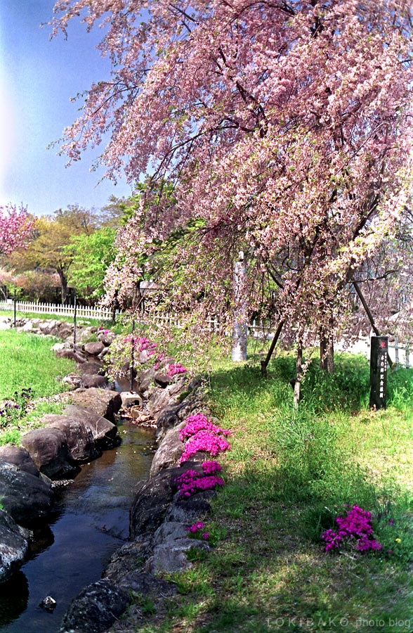 d0100156_1916268.jpg