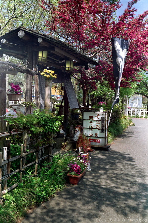 d0100156_1926481.jpg