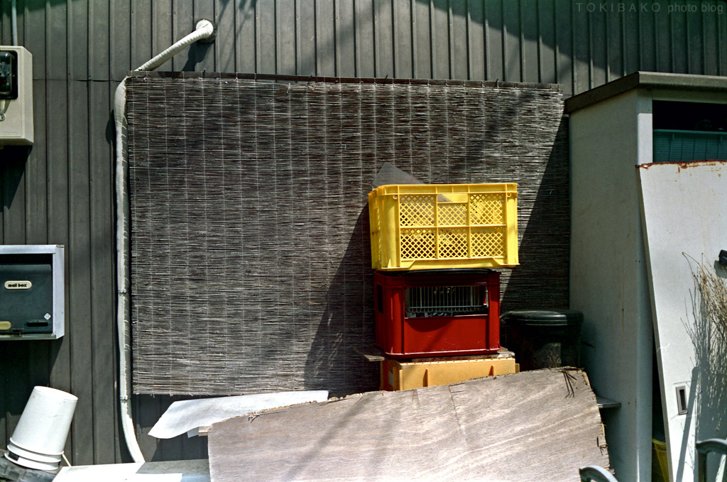 d0100156_19292762.jpg