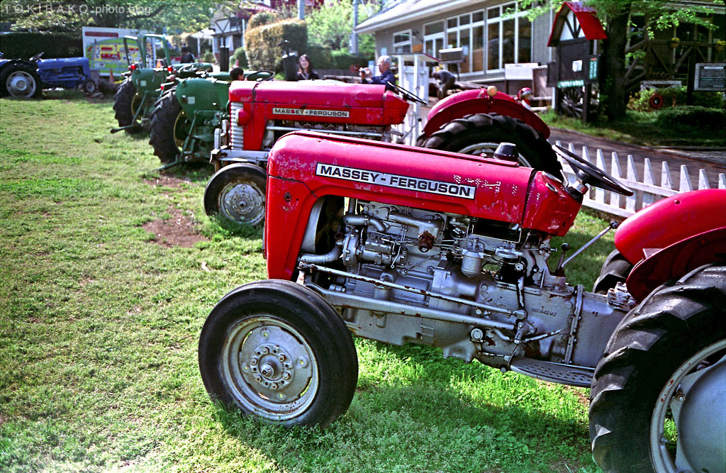 d0100156_19312530.jpg