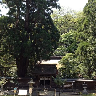 f0221360_8275353.jpg