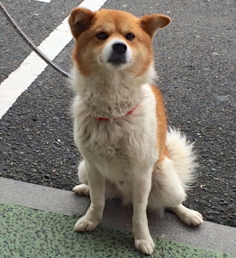 f0177261_1051593.jpg