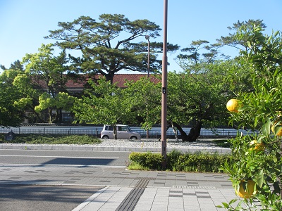 f0113862_1911630.jpg