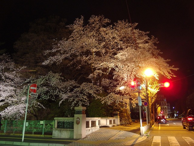 e0078069_78934.jpg