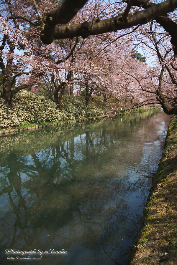 c0106977_20364355.jpg