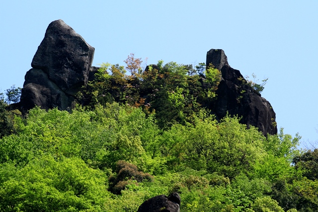 d0126577_21433182.jpg