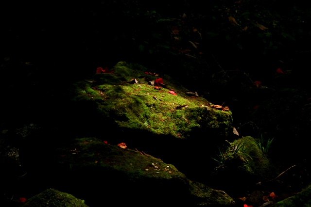 d0126577_21483540.jpg