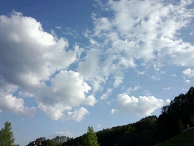 d0233577_1241887.jpg