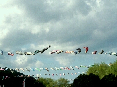 d0233577_1243855.jpg