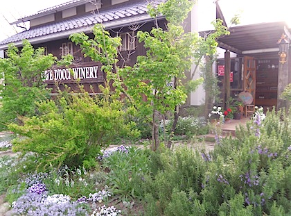 b0138478_20583183.jpg