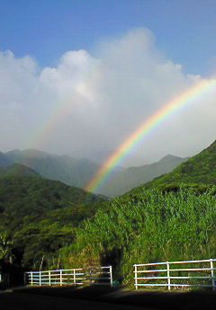 f0215179_9204655.jpg