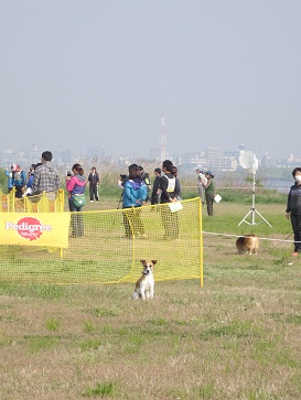 e0100584_22565115.jpg