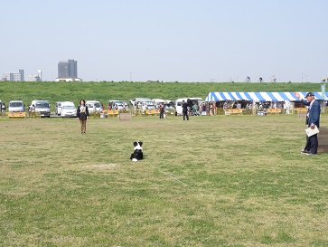 e0100584_2315176.jpg