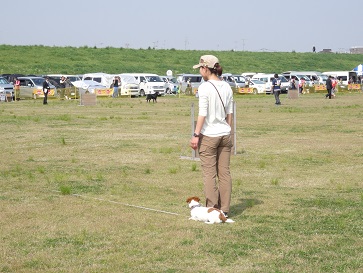 e0100584_2324132.jpg