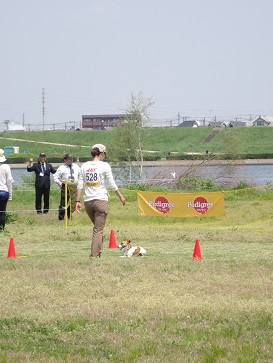 e0100584_2335499.jpg