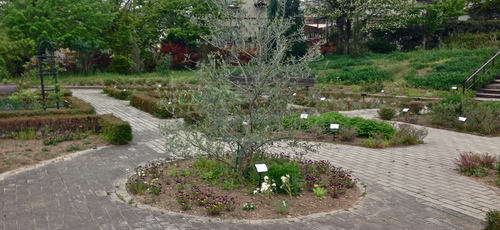 d0122088_21191658.jpg