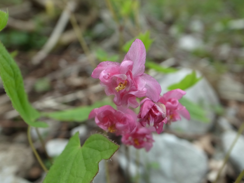 e0271890_22015587.png