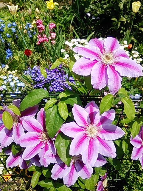 d0034291_21534896.jpg