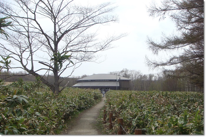 f0146493_239225.jpg