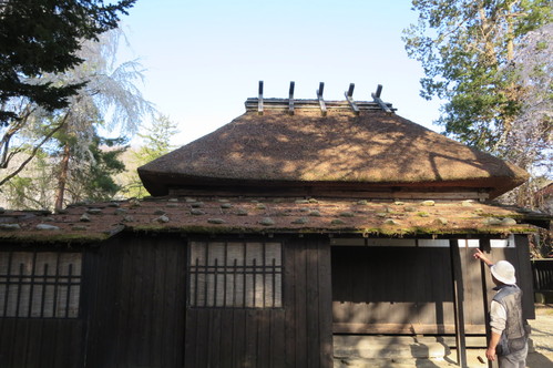 e0054299_1434084.jpg