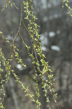 f0041606_14492832.jpg