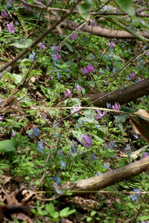 f0041606_14554339.jpg