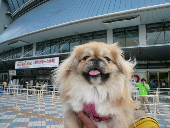 f0301306_207144.jpg
