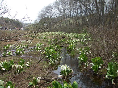 f0161708_22124792.jpg