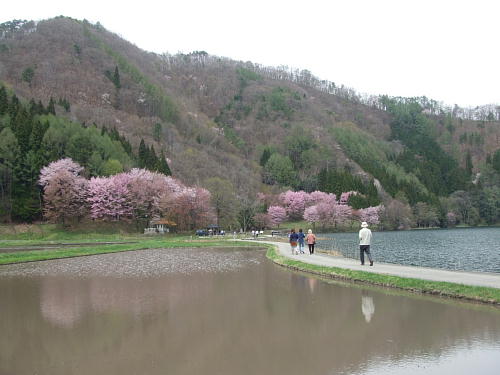 f0161708_22142632.jpg