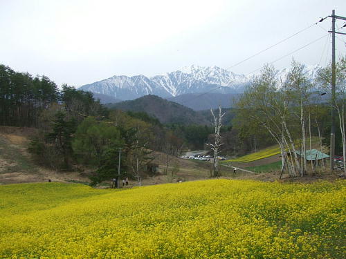f0161708_2218222.jpg