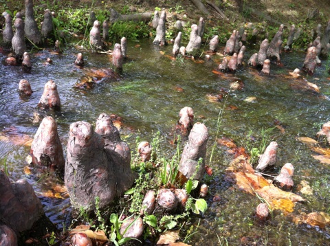 c0180209_2193471.jpg
