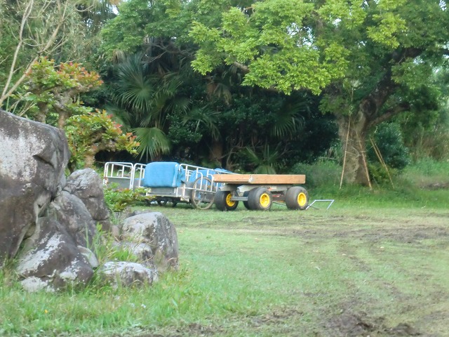 d0037110_22235730.jpg