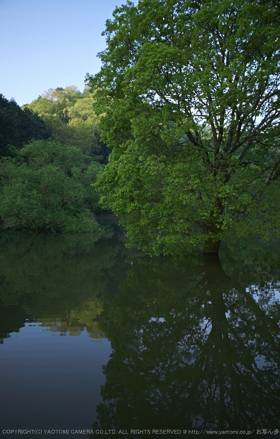 f0221510_11483656.jpg