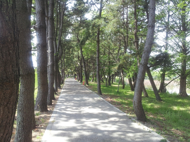 e0033713_17403556.jpg