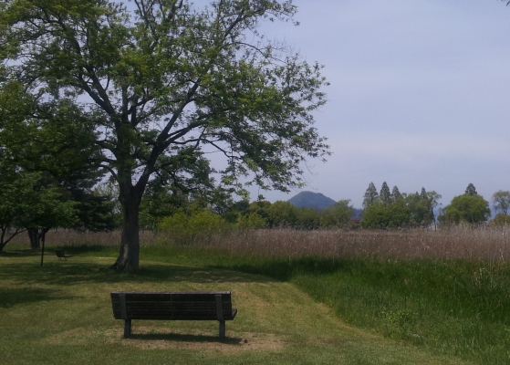 e0033713_18204870.jpg