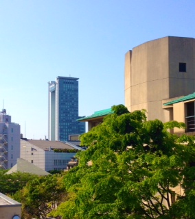f0189813_1295065.jpg