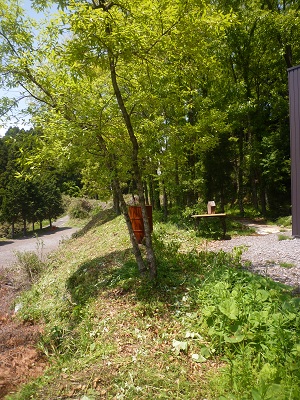 f0031420_1305169.jpg