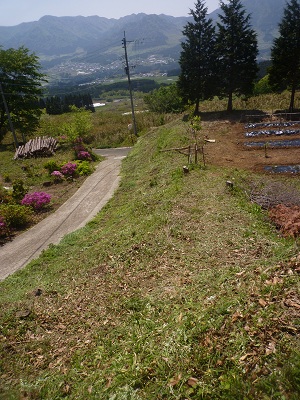 f0031420_1332119.jpg