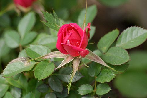 c0184125_2283919.jpg