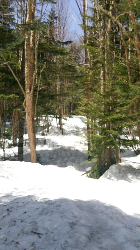 f0100825_22175439.jpg