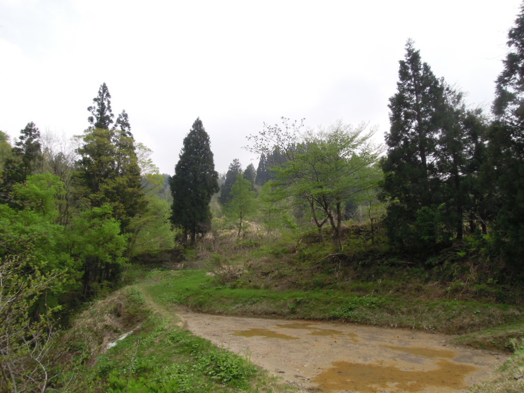 e0147226_15134073.jpg