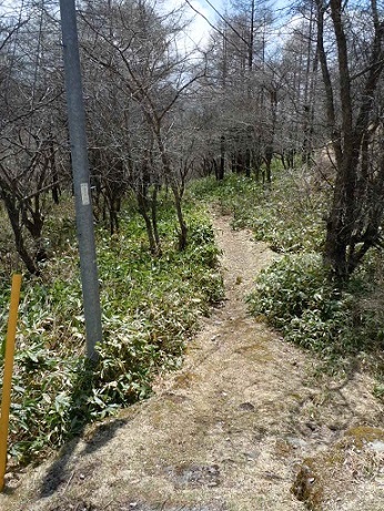 c0263829_1835575.jpg