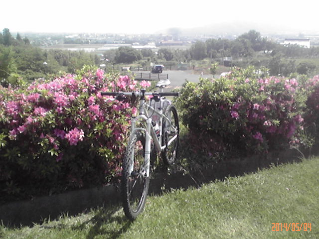 b0222530_12171498.jpg