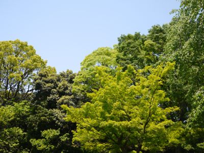 f0165831_21412378.jpg