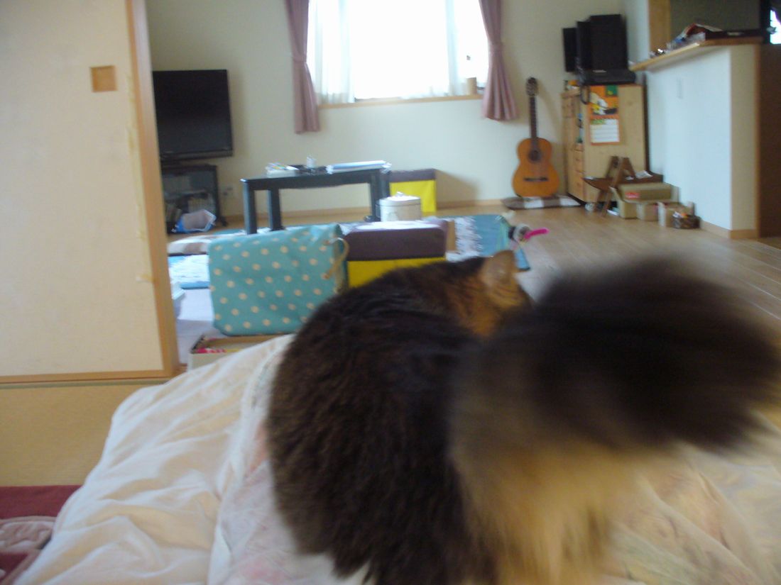 f0275632_2153449.jpg