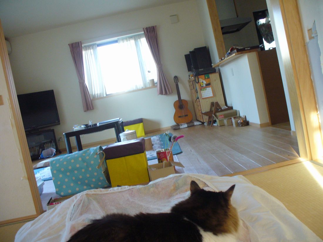 f0275632_21543272.jpg