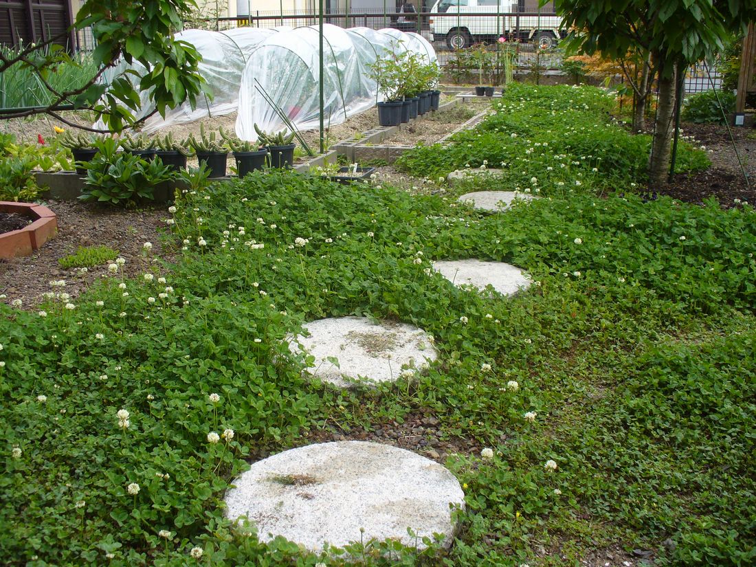 f0275632_223389.jpg